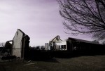 IMG_5693.jpg