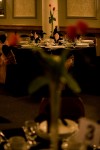 IMG_6960.jpg